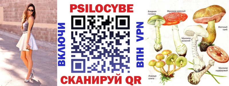 Псилоцибиновые грибы GOLDEN TEACHER Павловская